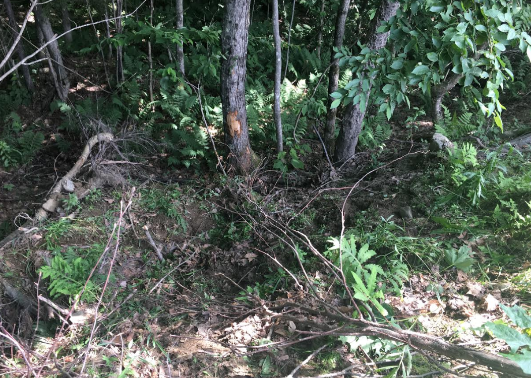 Quincy, Mass., man hurt after Clarksville ATV crash